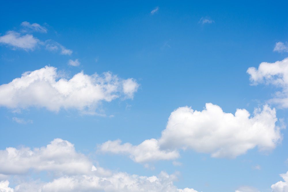 A longer shelf life for household staples